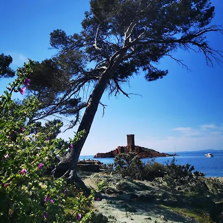 Daire 2 Pieces Proche Centre Et